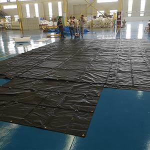 TARPS-11